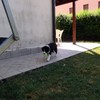 Rifare Giardino