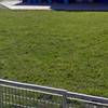 Livellare Terreno Per Piscina Esterna