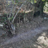 Costruire Muro Pietra