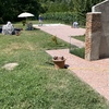 Pulizia Casa