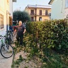 Posare Cemento Stampato