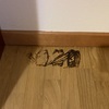 Levigare e Verniciare Parquet (Parziale)