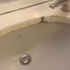 Piccola Ristrutturazione Bagno