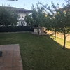 Manutenzione Giardino