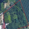 Pulizia terreno incolto