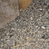 Pulizia Guano Piccioni
