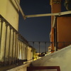 Telo
