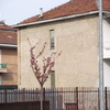 Rifacimento tetto mq 230 di superficie