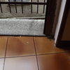 Sostituzione serramenti in PVC