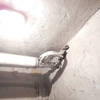 Installare Caldaia O Stufa