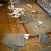 Lucidare Parquet