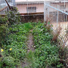 Passaggi Nel Giardino