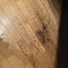 Levigare E Verniciare Parquet