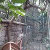 Demolizione e ricostruzione muro confine
