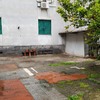 Posare Cemento Stampato