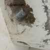 Riparare Infiltrazioni