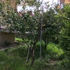 Posare Prato Sintetico
