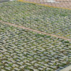 Pavimentazione grigliata carrabile giardino a senigallia (an)