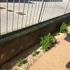 Installare Impianto Irrigazione