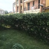 Manutenzione Giardino