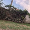 Smaltire Potatura