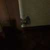 Installare Caldaia O Stufa A Pellet