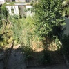 Pulizia erbacce giardino