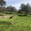 Costruire Piscina In Muratura