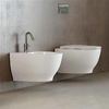 Installare o Cambiare Sanitari