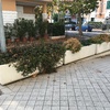 Fornire Terra O Accessori Giardino