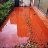 Rifacimento porzione di cortile