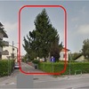 Abbattimento pino 12 metri