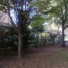 Installare Impianto di Irrigazione Automatico Giardino Condominiale