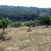 Recinzione Terreno Agricolo