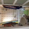Ristrutturazione bagno romentino