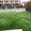 Realizzazione muretto contenimento giardino