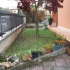Cancellata in metallo da sistemare