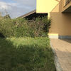 Ristrutturazione giardino