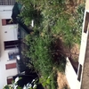 Pulizia Giardino