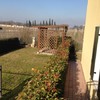 Piantumazione giardino come da foto
