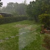 Manutenzione giardino