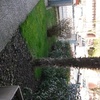 Giardiniere manutenzione giardino
