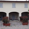 Creare un arco di piante tra due vasi di photinia