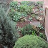 Manutenzione giardino