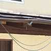 Installare O Riparare Grondaie