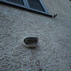 Dipingere Esterno Casa
