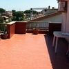 Creare Tettoia Legno