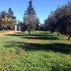 Realizzare recinzione di 220 m in calcestruzzo