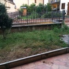 Sistemare un piccolo giardino di circa 20 mq