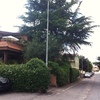 Potare o tagliare alberi